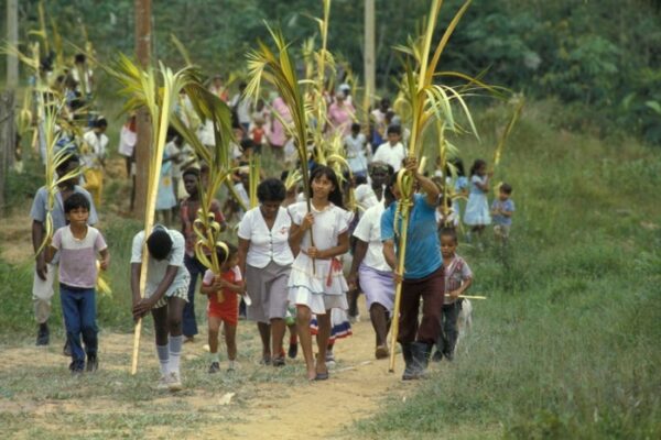 Minggu palma di Kolombia