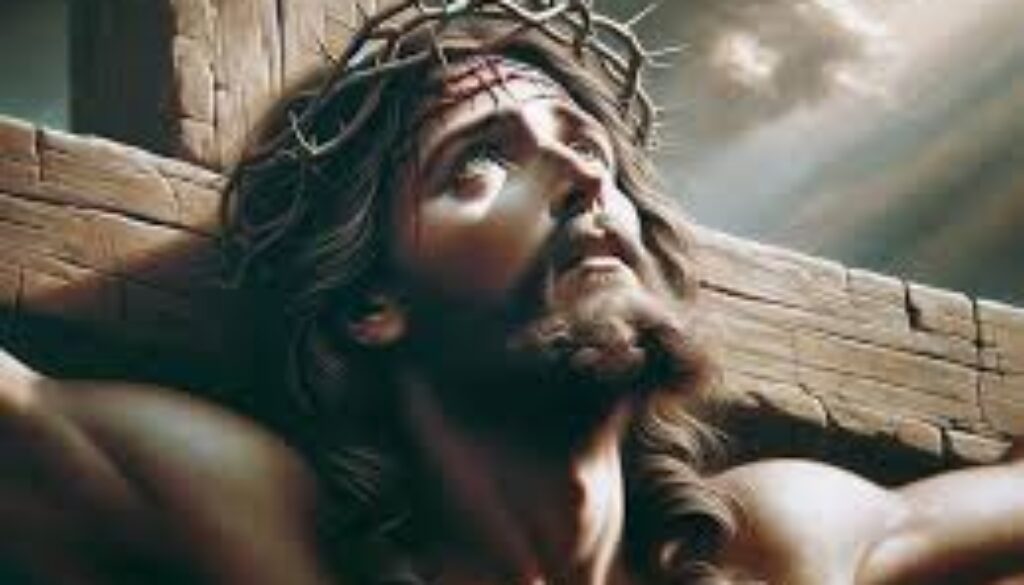 images (1)