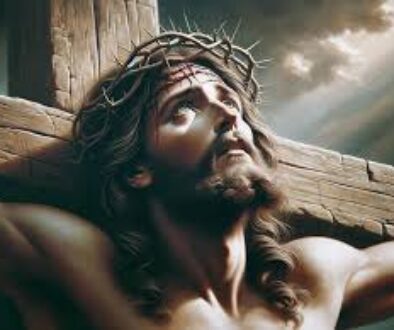 images (1)